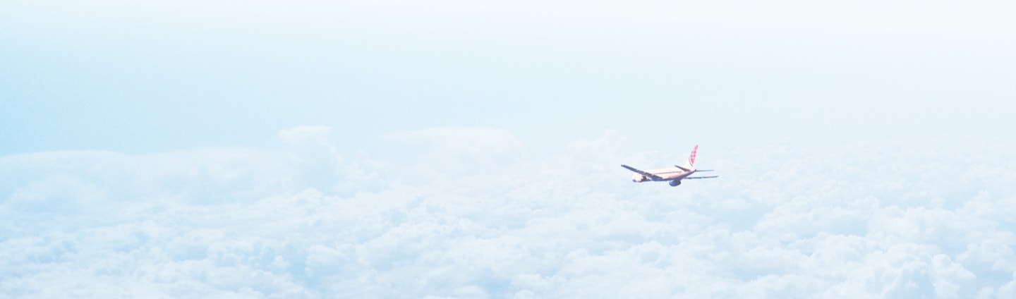 Airplane in the clouds